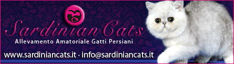 Sardinian Cats