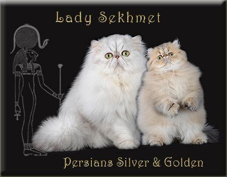 Lady Sekhmet